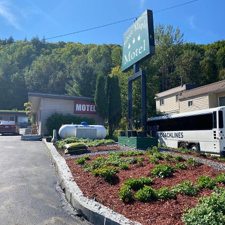 Silver Maple Motel هاليبرتون المظهر الخارجي الصورة