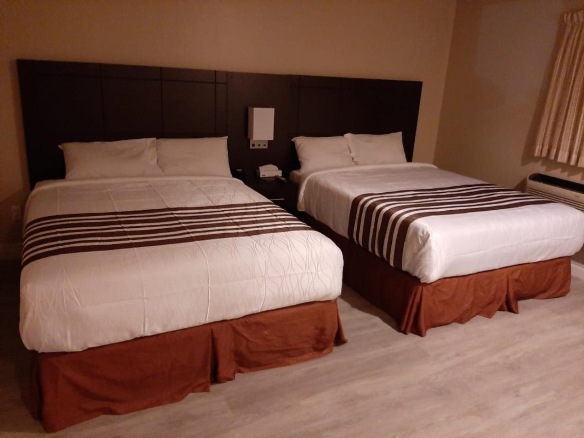 Silver Maple Motel هاليبرتون المظهر الخارجي الصورة