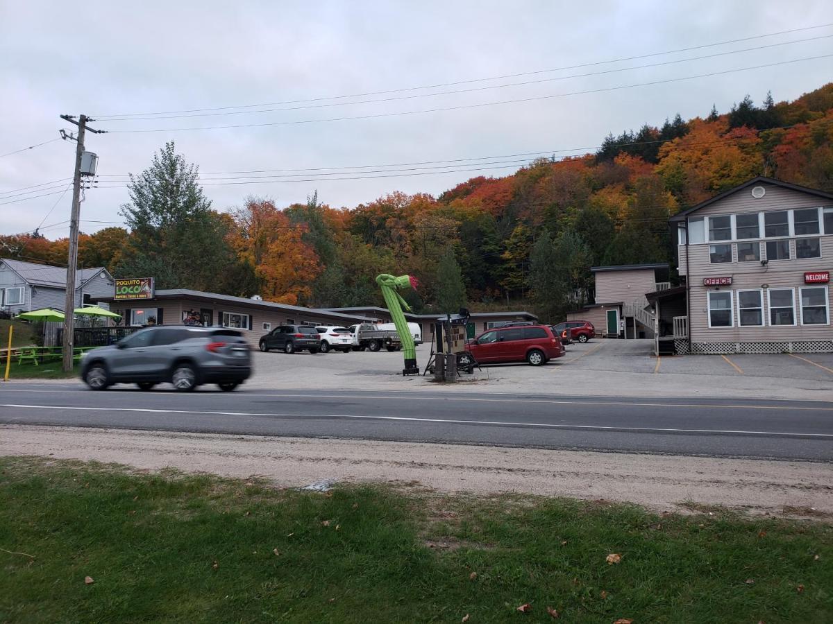 Silver Maple Motel هاليبرتون المظهر الخارجي الصورة