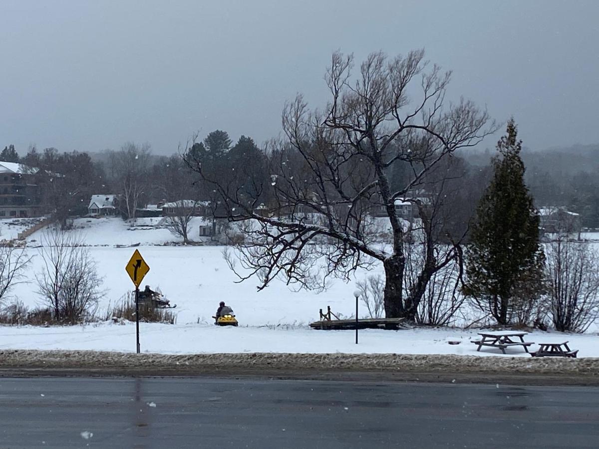 Silver Maple Motel هاليبرتون المظهر الخارجي الصورة